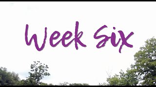 Camp Rayim 2019 - Week 6