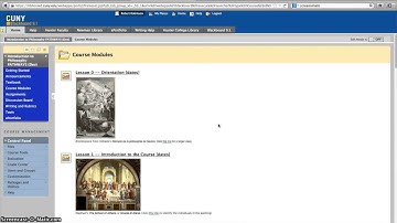 PHIL 101 Introduction to Philosophy, by Professor Robert Robinson