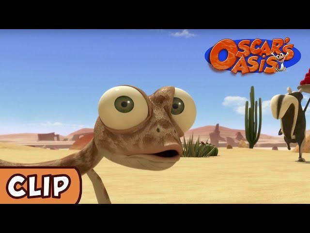 Oscar's Oasis - Empty Oasis 