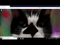 How to Delete a Specific Tumblr Account Permanently