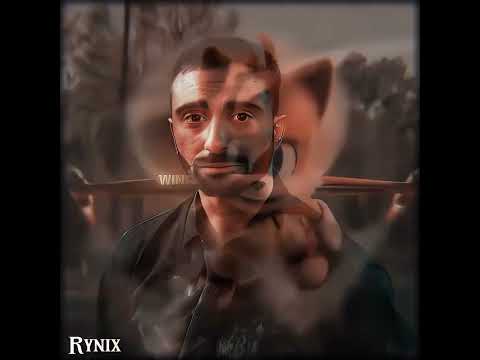 Choose Your Fighter Sonic 3