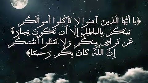 مؤيد المزين سورة النساء اية (27- 31)