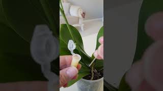 Imı Hem Boğumdan Hemde Uçtan Uygulama