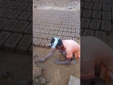 South Video Viral Giri Ka Help Kijiye Bhai Funny Video Hgdf