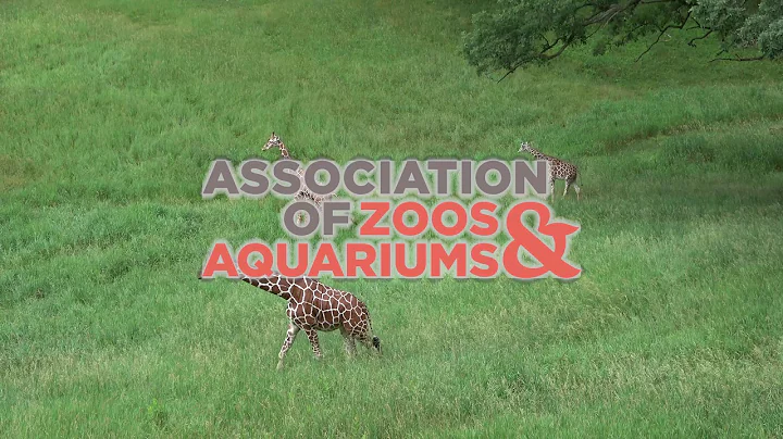 AZA accreditation