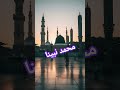 محمد نبینا بنوری ھدینا  اسلام    