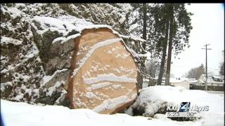 Spokane implements plan to deal with downed trees in city parks