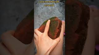 CARA MEMBUNUH NYAMUK