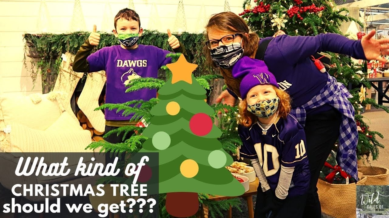 What Kind of Christmas Tree Should We Get??? | VLOGMAS DAY 2