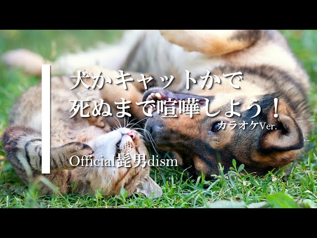 カラオケ】犬かキャットかで死ぬまで喧嘩しよう！ / Official髭男dism