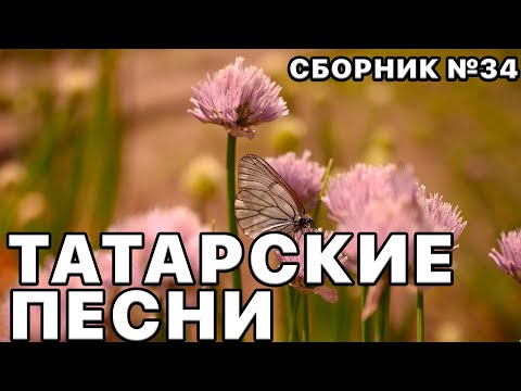 Татарские песни. Большой сборник песен №34