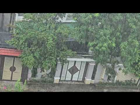 Sonido de Lluvia para Dormir - Concilia el Sueño en Solo 2 Minutos y Relájate