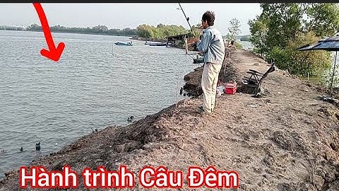 Hành trình Câu Đêm ( Câu Tráp, Hanh) Ngày cuối Nước, Cá ăn rất Mạnh/ Câu cá thiên nhiên