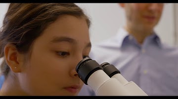 Engineering at Edmonds CC