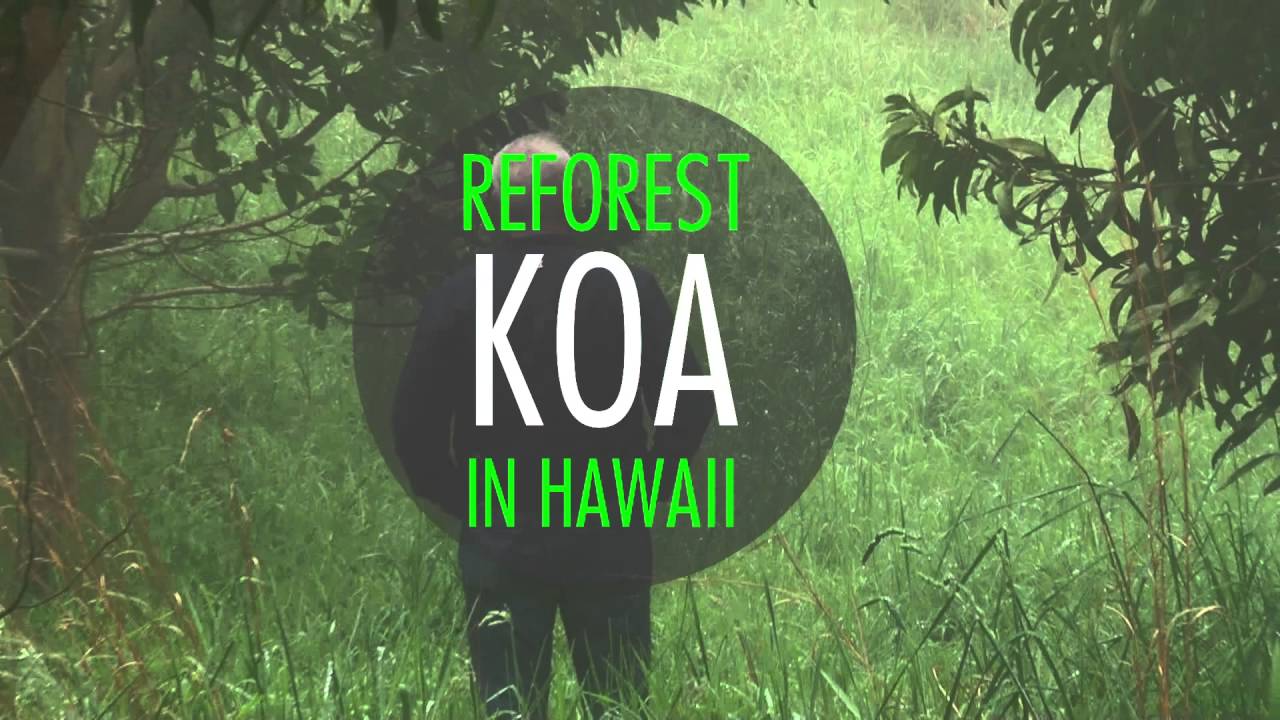 HAGADONE PRINTING HAWAII TV COMMERCIAL YouTube