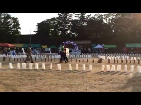 リレー・フォー・ライフ・ジャパン2016わかやま