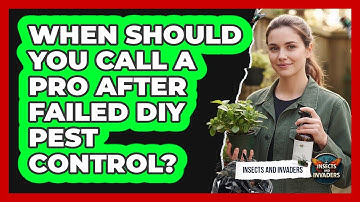 When Should You Call a Pro After Failed DIY Pest Control?