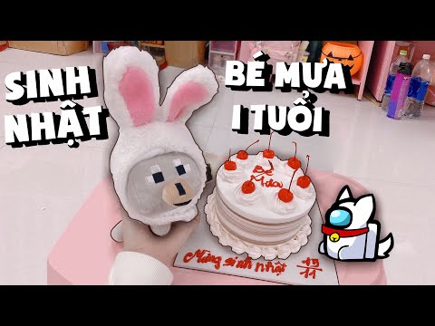 Video: 5 Quà Tặng Cho Mèo Purr-fect (Giá Rẻ)