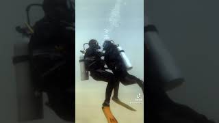 Scuba Diving in Khasab