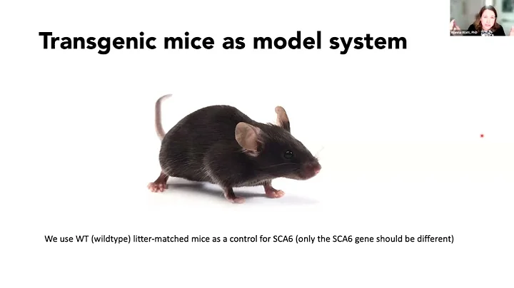 Research and Treatment Development for SCA6