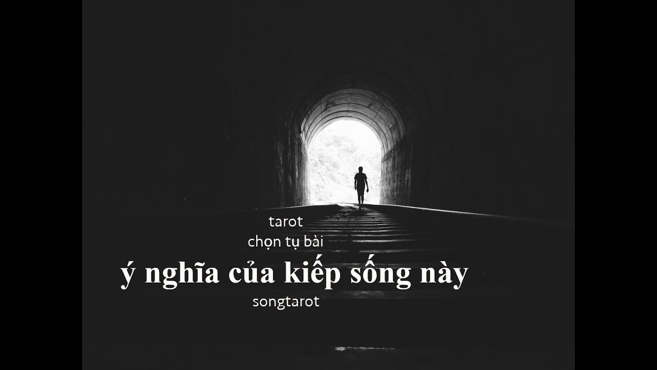 tarot: chọn tụ bài: ý nghĩa của kiếp sống này