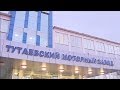 Тутаевский моторный завод