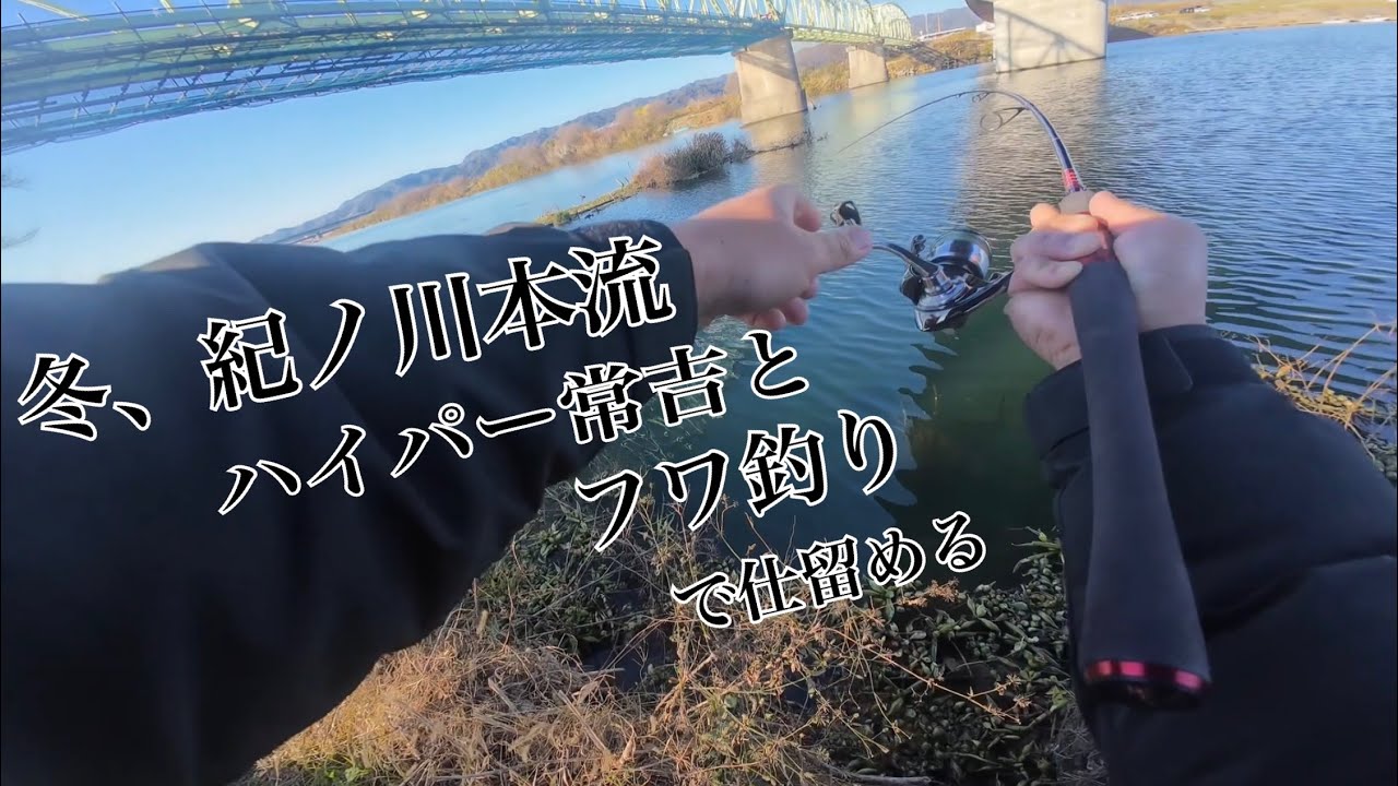冬の紀ノ川でこの釣りをすると......