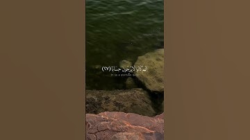 {إِنَّهُمْ كَانُوا لَا يَرْجُونَ حِسَابًا} تلاوه عبدالرحمن مسعد