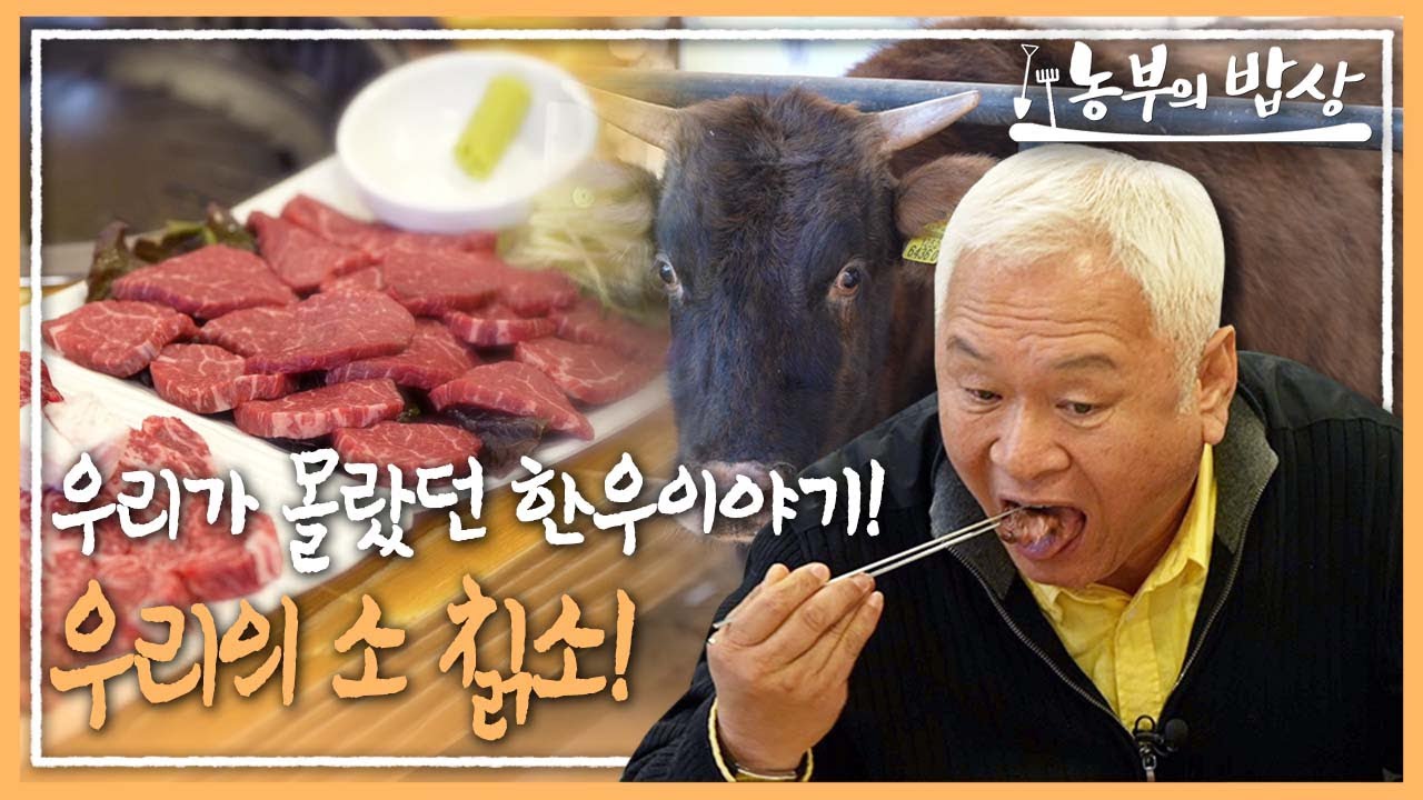 [농부의 밥상] - 우리가 몰랐던 한우이야기! 우리의 소 칡소! - YouTube