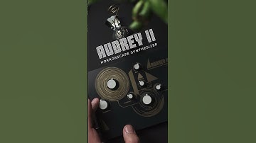 Audrey II Feedback Synth. #electronicmusic #sounddesign #synth #sound