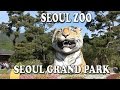 Seoul Zoo in Seoul Grand Park (서울대공원 어린이동물원) Sony FDR-AX53 4K Ultra HD Handy Cam