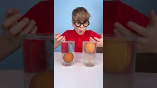🌊 Easy Floating Egg Science Experiment #scienceforkids