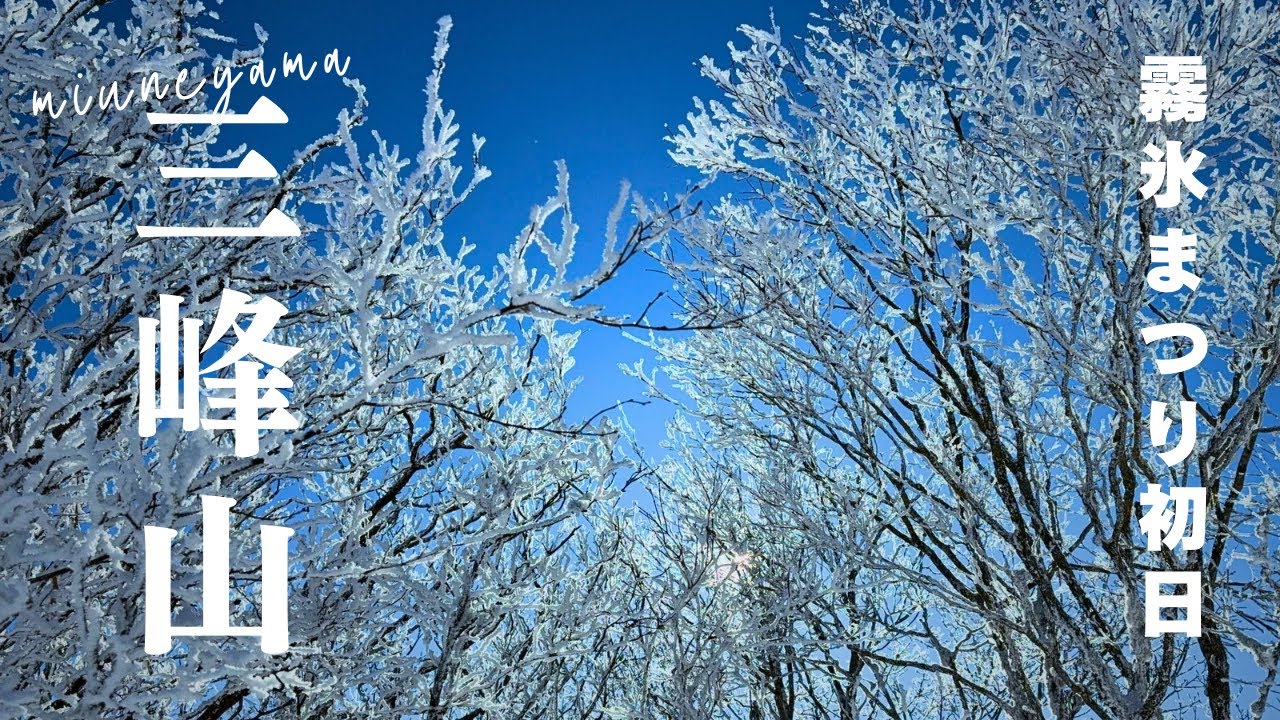 【霧氷まつり】開催初日！霧氷バスに乗って白銀の三峰山へ❄️