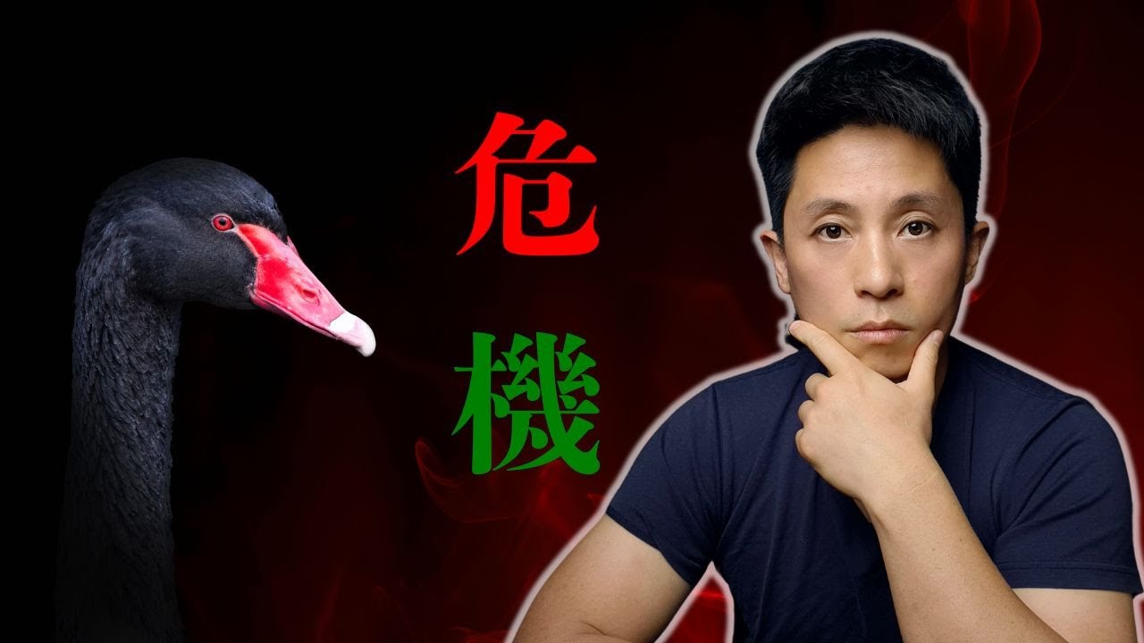 別人恐慌我好奇！金融市場黑天鵝事件的另類解讀，發現別人看不到的機遇。