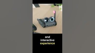 Doly 🤖 companion robot