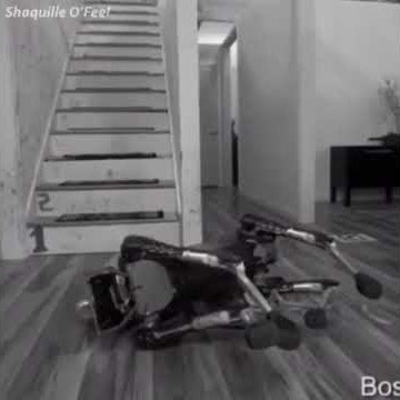 Mission failed, we'll get em next time