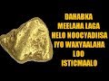 IFTIIMIYE DAHABKA GOLD 