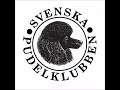 Guide; Hur du som uppfödare publicerar en ny kull för hänvisning på Svenska Pudelklubbens hemsida
