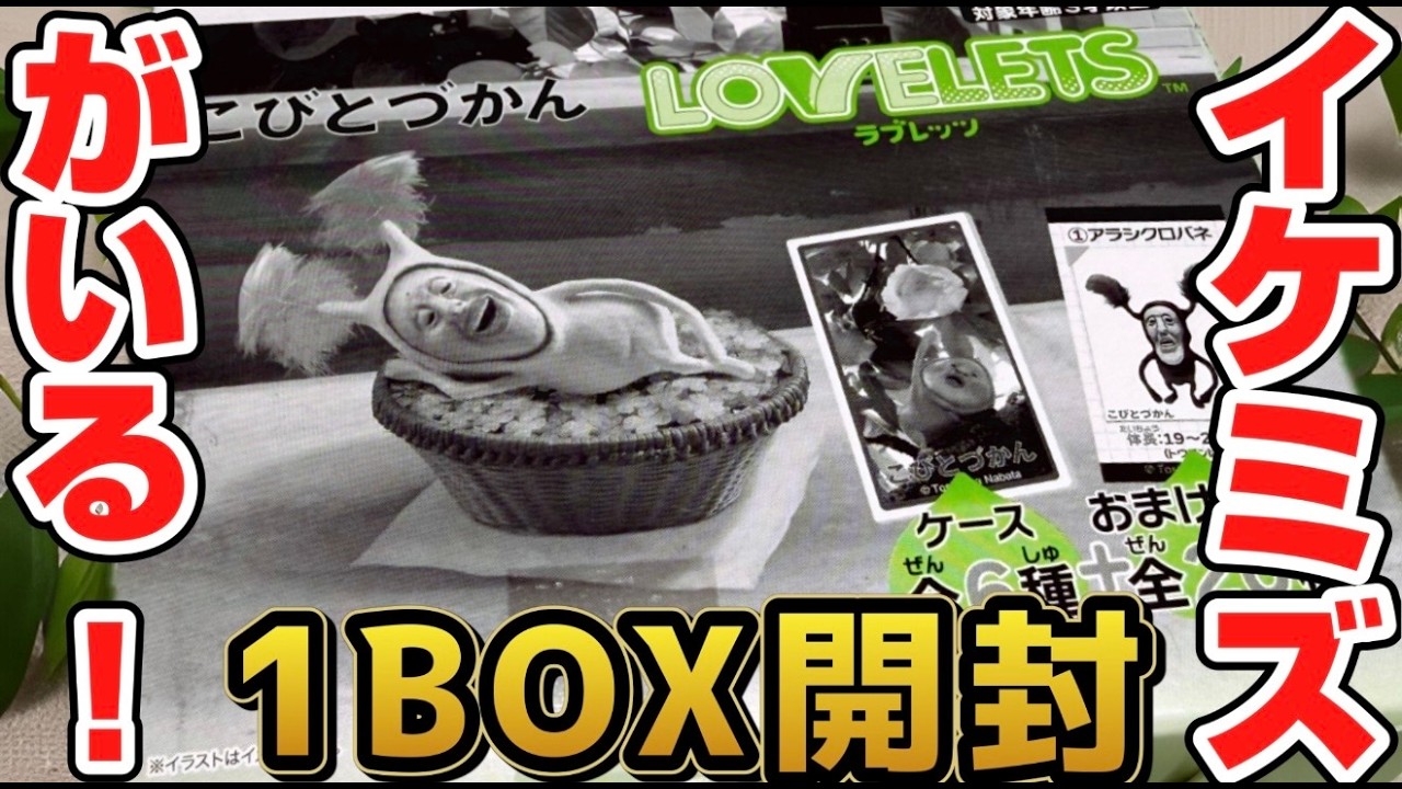 コビト　お菓子の箱　ドッキリダイザー　レトロ 36c398_8b6078246b6d46328925481