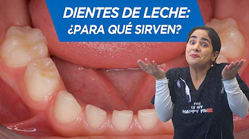 ¿Para qué sirven los dientes de leche?