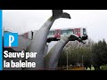 Pays-Bas : un métro sauvé par une sculpture de baleine