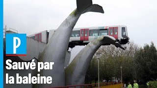 Pays-Bas : un métro sauvé par une sculpture de baleine