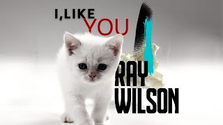 Vignette de la vidéo "Ray Wilson | I, Like You (official video)"