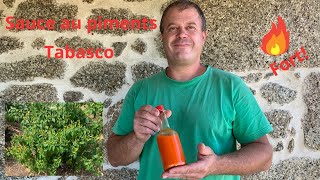 Sauce au piments Tabasco