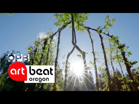 Video: Tehnici Arborsculpture - Sfaturi despre formarea arborilor Arborsculptures