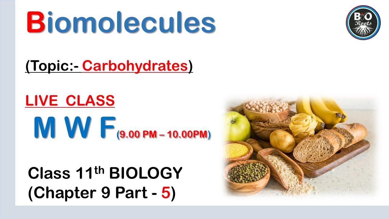 Carbohydrates BIOMOLECULES CLASS 11th ch 9 online live class part 5