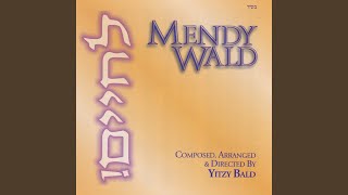 Video thumbnail of "Mendy Wald - Smile Again"