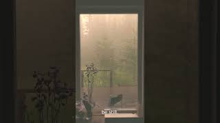 Rainy Night Window • Be Still • StillHour #Shorts