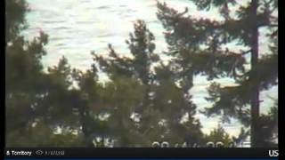 1 21 1433 eagle flapping in tree right of glass house and then flies off left
