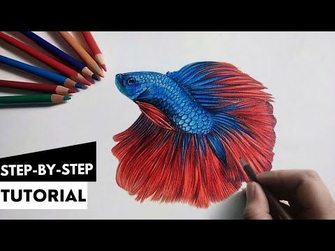 Draw Realistic Betta Fish | COLORED STEP BY STEP Tutorial